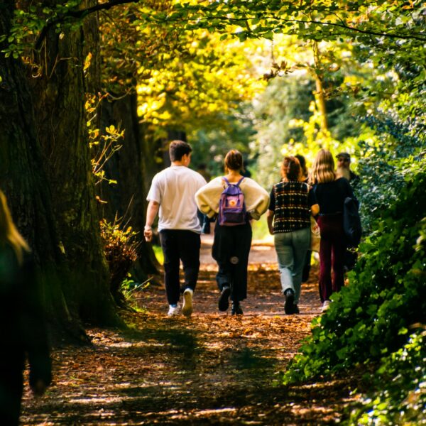 Family-Friendly Activities In Jim Corbett For Nature Lovers