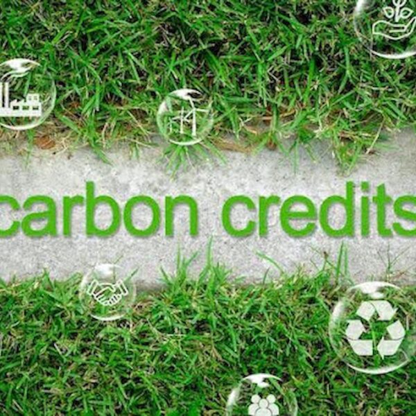 Carbon Credit Trading